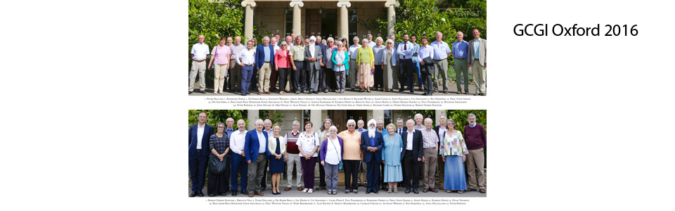 2016 Oxford Conference Participants
